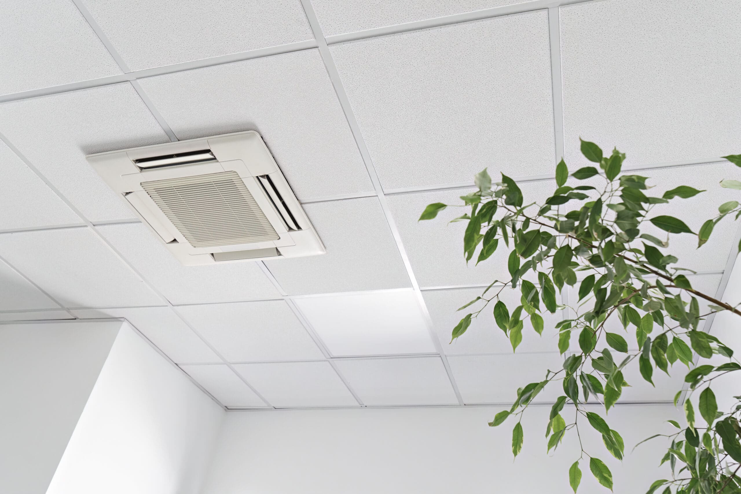 indoor air quality